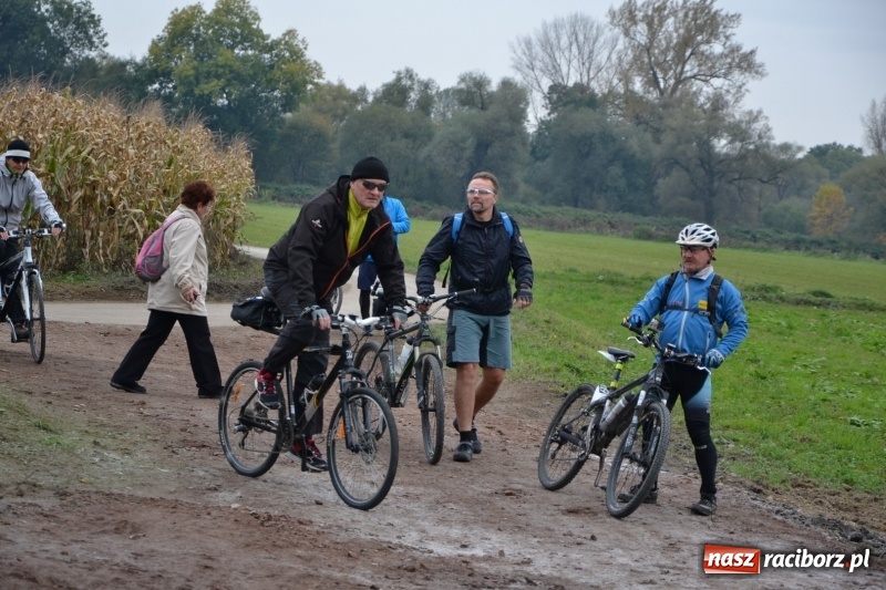Zdjęcie w galerii na portalu naszraciborz.pl: Rowerowy rajd gwiaździsty na zakończenie sezonu  wiadomości z regionu