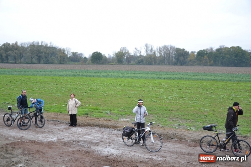 Zdjęcie w galerii na portalu naszraciborz.pl: Rowerowy rajd gwiaździsty na zakończenie sezonu  wiadomości z regionu