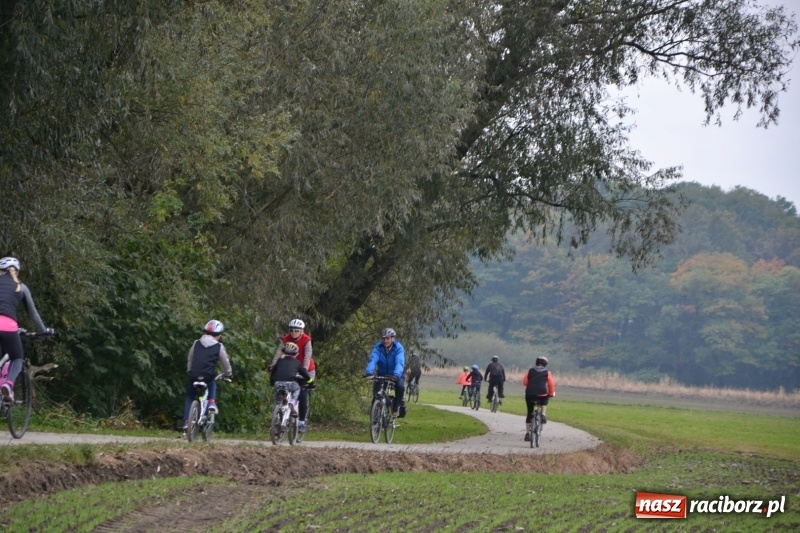 Zdjęcie w galerii na portalu naszraciborz.pl: Rowerowy rajd gwiaździsty na zakończenie sezonu  wiadomości z regionu
