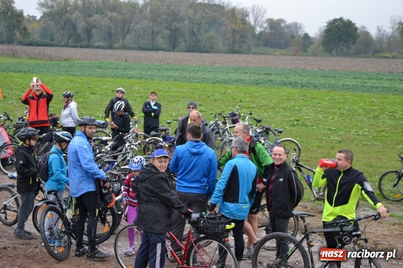 Zdjęcie w galerii na portalu naszraciborz.pl: Rowerowy rajd gwiaździsty na zakończenie sezonu  wiadomości z regionu