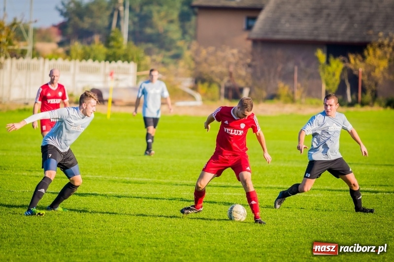 Zdjęcie w galerii na portalu naszraciborz.pl: Krzyżanowice nie sprawiły niespodzianki. Przyszłość Rogów z kompletem punktów wiadomości z regionu