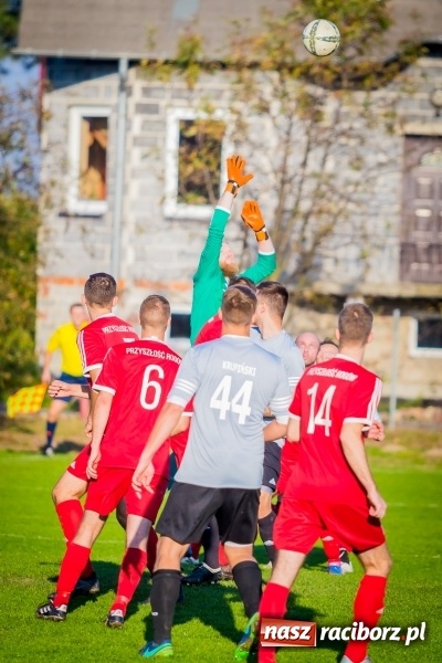 Zdjęcie w galerii na portalu naszraciborz.pl: Krzyżanowice nie sprawiły niespodzianki. Przyszłość Rogów z kompletem punktów wiadomości z regionu