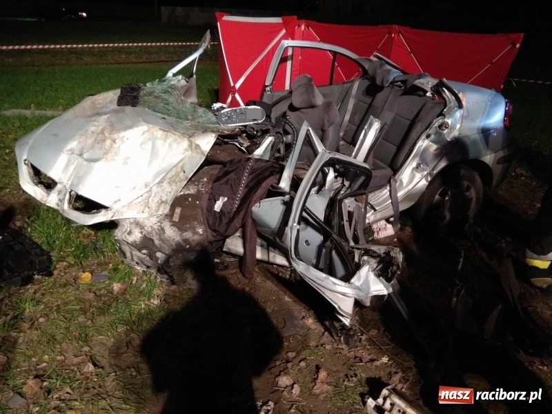 Zdjęcie w galerii na portalu naszraciborz.pl: Śmiertelny wypadek na DW 416 Racibórz-Pietrowice Wielkie na wysokości Żerdzin  wiadomości z regionu