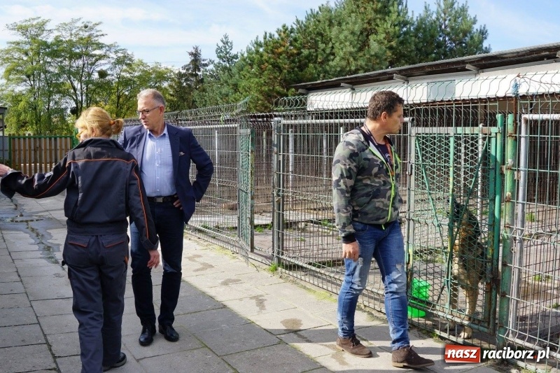 Zdjęcie w galerii na portalu naszraciborz.pl: Pieskie życie. Raciborskie schronisko zmienia się na lepsze wiadomości z regionu