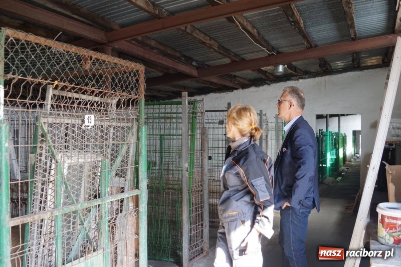 Zdjęcie w galerii na portalu naszraciborz.pl: Pieskie życie. Raciborskie schronisko zmienia się na lepsze wiadomości z regionu
