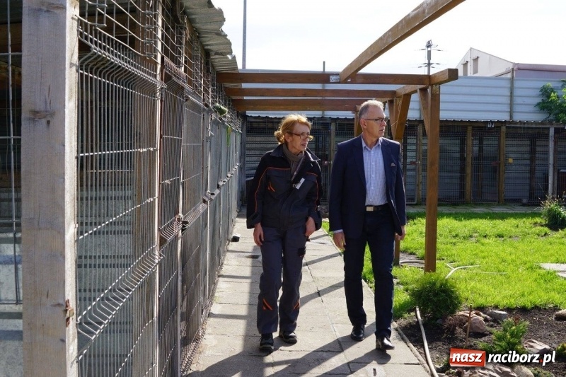 Zdjęcie w galerii na portalu naszraciborz.pl: Pieskie życie. Raciborskie schronisko zmienia się na lepsze wiadomości z regionu