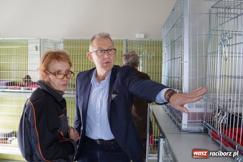 Zdjęcie w galerii na portalu naszraciborz.pl: Pieskie życie. Raciborskie schronisko zmienia się na lepsze wiadomości z regionu