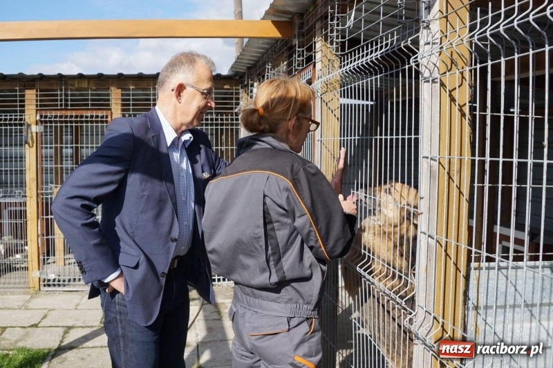 Zdjęcie w galerii na portalu naszraciborz.pl: Pieskie życie. Raciborskie schronisko zmienia się na lepsze wiadomości z regionu