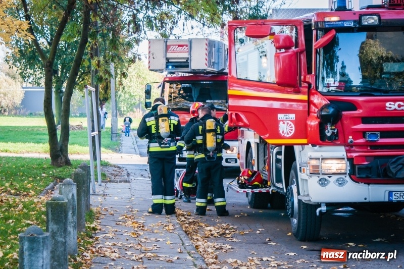 Zdjęcie w galerii na portalu naszraciborz.pl: Gorący olej przyczyną pożaru kuchni przy Czarnieckiego wiadomości z regionu