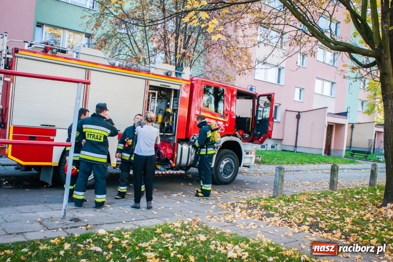 Zdjęcie w galerii na portalu naszraciborz.pl: Gorący olej przyczyną pożaru kuchni przy Czarnieckiego wiadomości z regionu