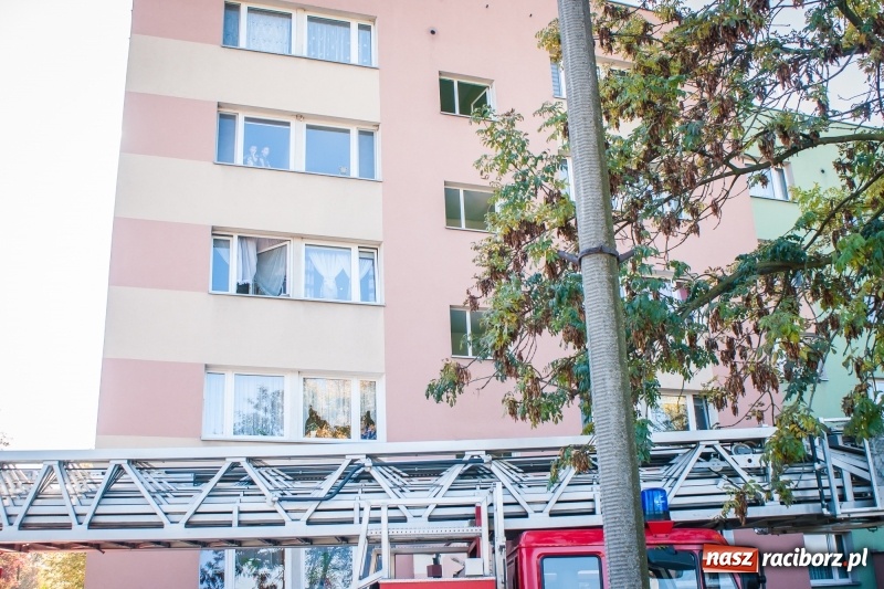 Zdjęcie w galerii na portalu naszraciborz.pl: Gorący olej przyczyną pożaru kuchni przy Czarnieckiego wiadomości z regionu