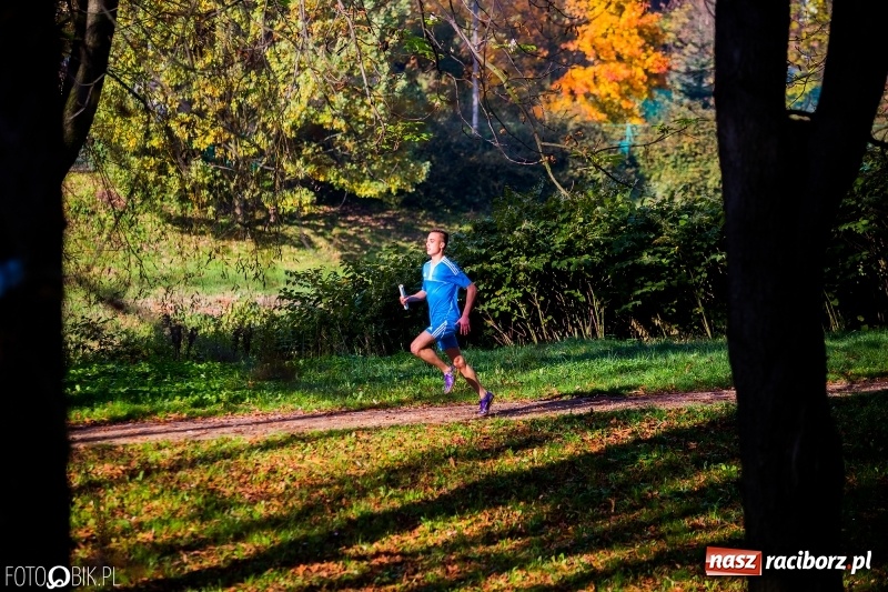 Zdjęcie w galerii na portalu naszraciborz.pl: Finały sztafetowych biegów przełajowych w parku Zamkowym  wiadomości z regionu