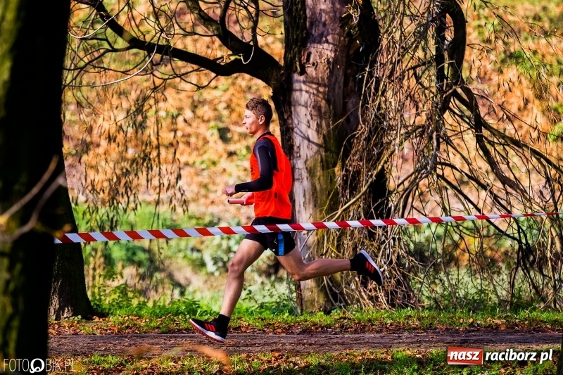 Zdjęcie w galerii na portalu naszraciborz.pl: Finały sztafetowych biegów przełajowych w parku Zamkowym  wiadomości z regionu