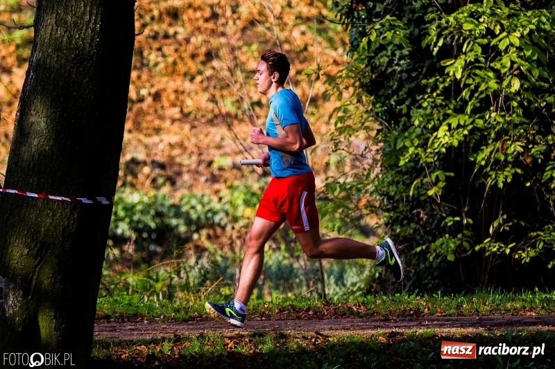 Zdjęcie w galerii na portalu naszraciborz.pl: Finały sztafetowych biegów przełajowych w parku Zamkowym  wiadomości z regionu