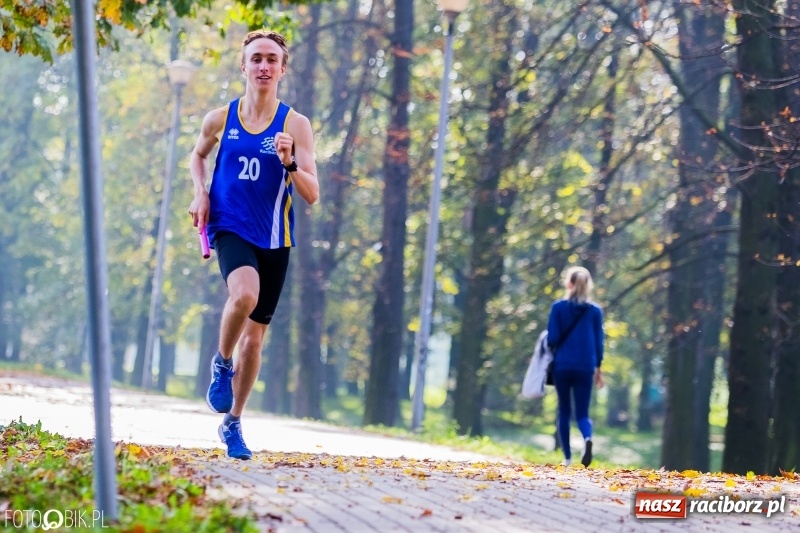 Zdjęcie w galerii na portalu naszraciborz.pl: Finały sztafetowych biegów przełajowych w parku Zamkowym  wiadomości z regionu