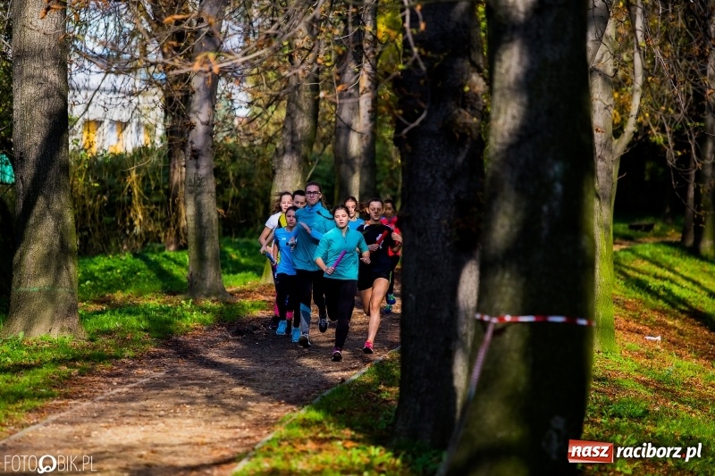 Zdjęcie w galerii na portalu naszraciborz.pl: Finały sztafetowych biegów przełajowych w parku Zamkowym  wiadomości z regionu