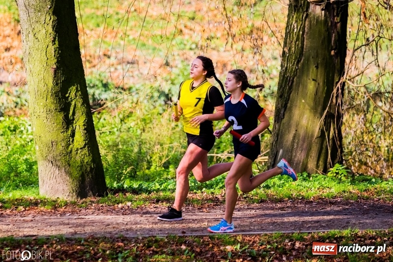 Zdjęcie w galerii na portalu naszraciborz.pl: Finały sztafetowych biegów przełajowych w parku Zamkowym  wiadomości z regionu