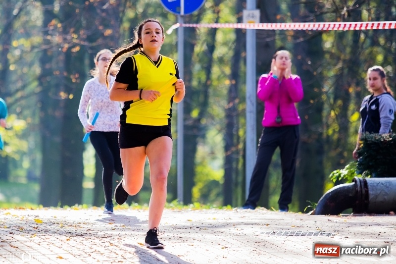 Zdjęcie w galerii na portalu naszraciborz.pl: Finały sztafetowych biegów przełajowych w parku Zamkowym  wiadomości z regionu