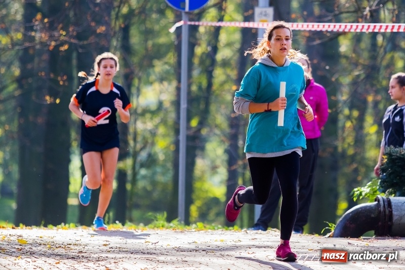 Zdjęcie w galerii na portalu naszraciborz.pl: Finały sztafetowych biegów przełajowych w parku Zamkowym  wiadomości z regionu