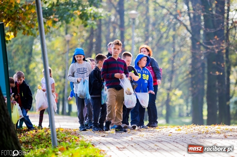 Zdjęcie w galerii na portalu naszraciborz.pl: Finały sztafetowych biegów przełajowych w parku Zamkowym  wiadomości z regionu
