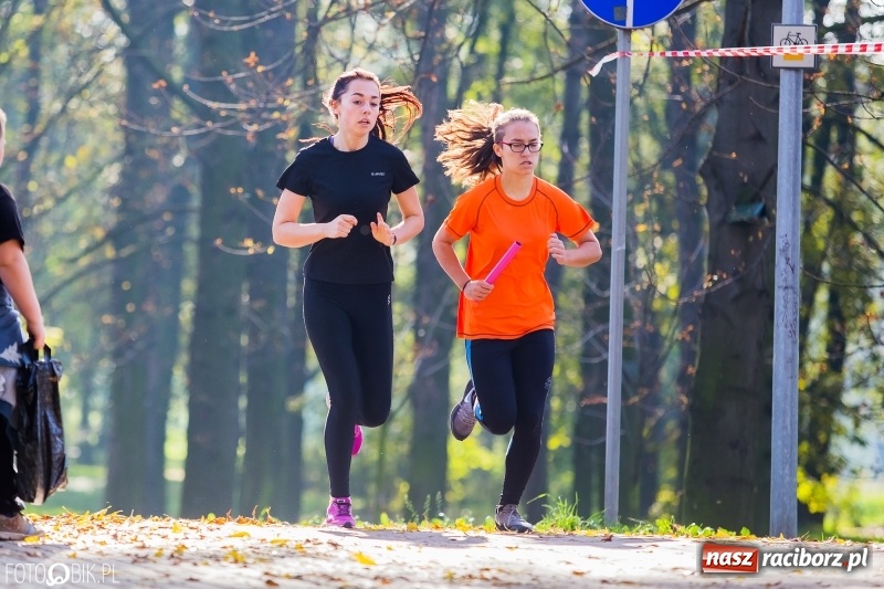 Zdjęcie w galerii na portalu naszraciborz.pl: Finały sztafetowych biegów przełajowych w parku Zamkowym  wiadomości z regionu