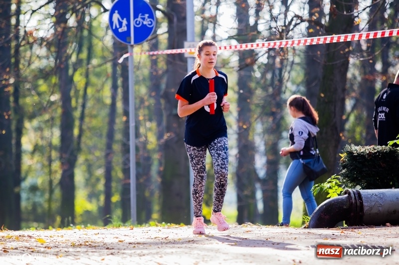 Zdjęcie w galerii na portalu naszraciborz.pl: Finały sztafetowych biegów przełajowych w parku Zamkowym  wiadomości z regionu