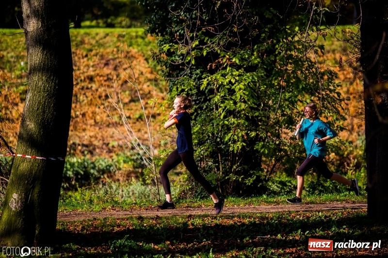 Zdjęcie w galerii na portalu naszraciborz.pl: Finały sztafetowych biegów przełajowych w parku Zamkowym  wiadomości z regionu