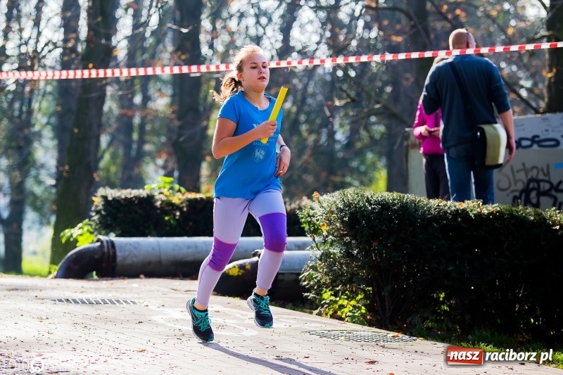 Zdjęcie w galerii na portalu naszraciborz.pl: Finały sztafetowych biegów przełajowych w parku Zamkowym  wiadomości z regionu