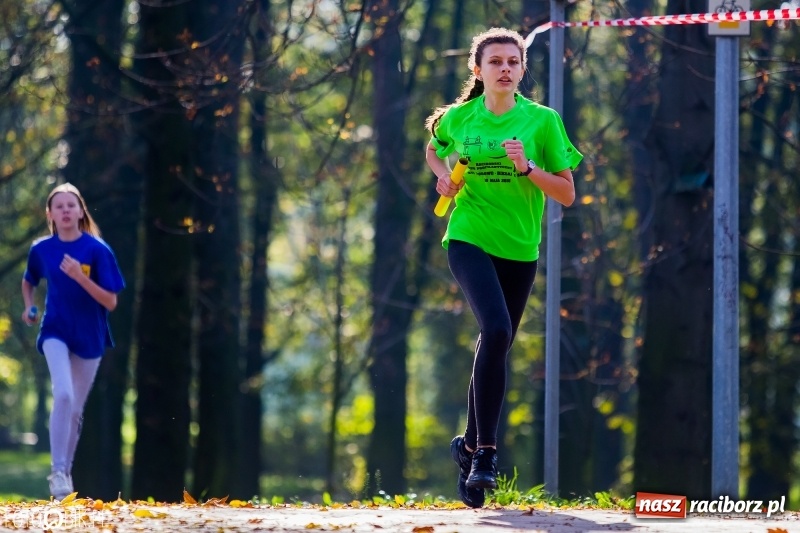 Zdjęcie w galerii na portalu naszraciborz.pl: Finały sztafetowych biegów przełajowych w parku Zamkowym  wiadomości z regionu