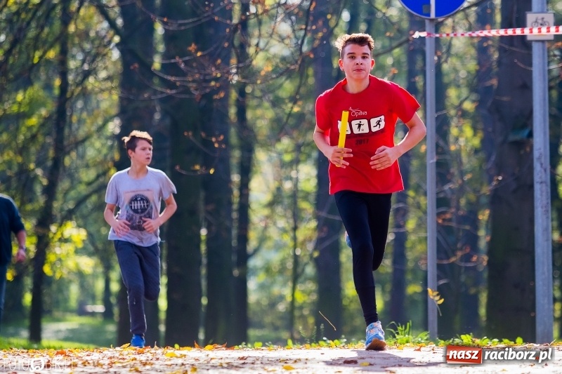 Zdjęcie w galerii na portalu naszraciborz.pl: Finały sztafetowych biegów przełajowych w parku Zamkowym  wiadomości z regionu