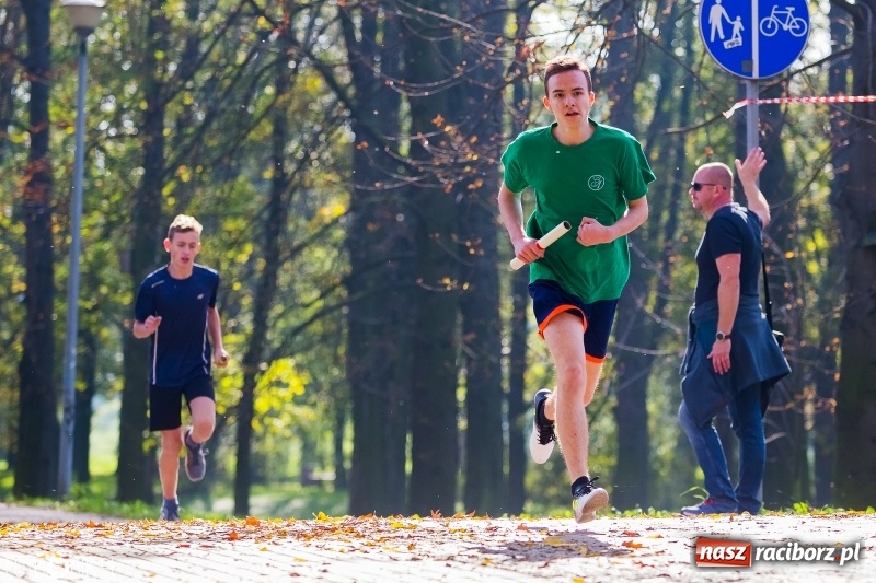Zdjęcie w galerii na portalu naszraciborz.pl: Finały sztafetowych biegów przełajowych w parku Zamkowym  wiadomości z regionu