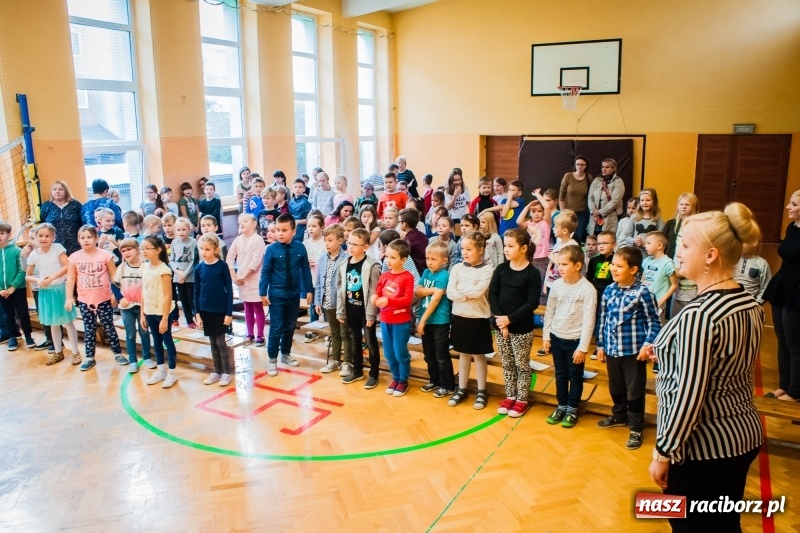 Zdjęcie w galerii na portalu naszraciborz.pl: Uczniowie SP 13 zostali pasowani na Świetlika wiadomości z regionu