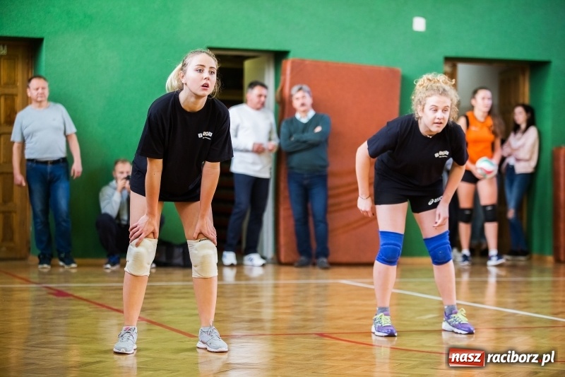 Zdjęcie w galerii na portalu naszraciborz.pl: Turniej dwójek siatkarskich dziewcząt w CKZiU numer 1 wiadomości z regionu