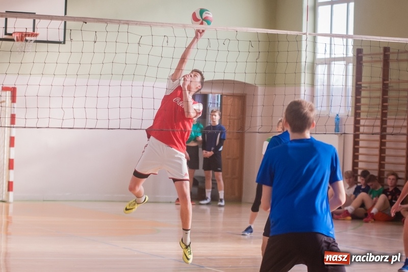 Zdjęcie w galerii na portalu naszraciborz.pl: Mistrzostwa Raciborza w dwójkach siatkarskich chłopców w CKZiU numer 1 wiadomości z regionu