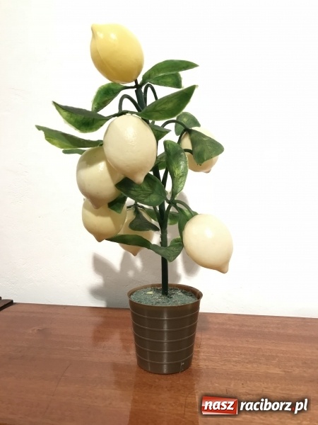 Zdjęcie w galerii na portalu naszraciborz.pl: PRZYSTANEK PRL - w raciborskim Muzeum szykują nową wystawę FOTO i WIDEO wiadomości z regionu