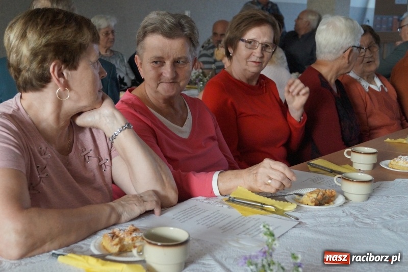 Zdjęcie w galerii na portalu naszraciborz.pl: Nowy-stary zarząd w kole emerytów w Nędzy  wiadomości z regionu