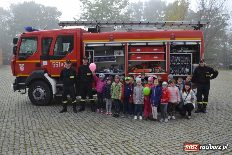 Zdjęcie w galerii na portalu naszraciborz.pl: X Raciborskie Dni Nauki i Techniki za nami wiadomości z regionu