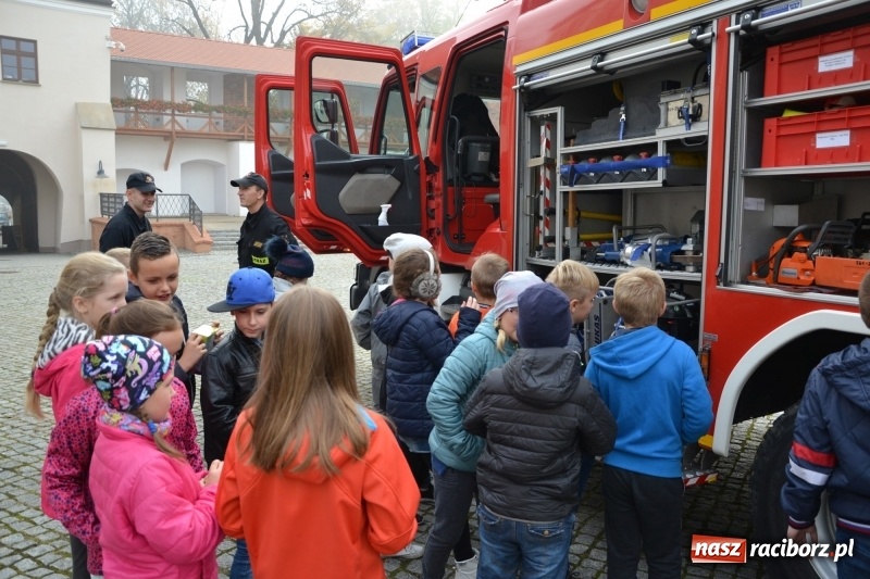 Zdjęcie w galerii na portalu naszraciborz.pl: X Raciborskie Dni Nauki i Techniki za nami wiadomości z regionu