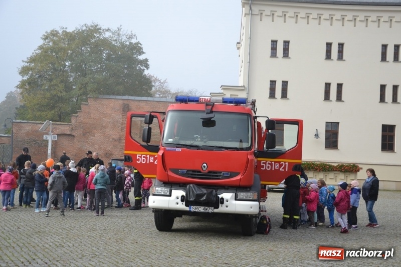 Zdjęcie w galerii na portalu naszraciborz.pl: X Raciborskie Dni Nauki i Techniki za nami wiadomości z regionu