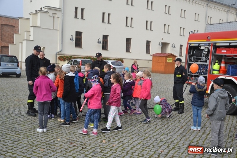 Zdjęcie w galerii na portalu naszraciborz.pl: X Raciborskie Dni Nauki i Techniki za nami wiadomości z regionu