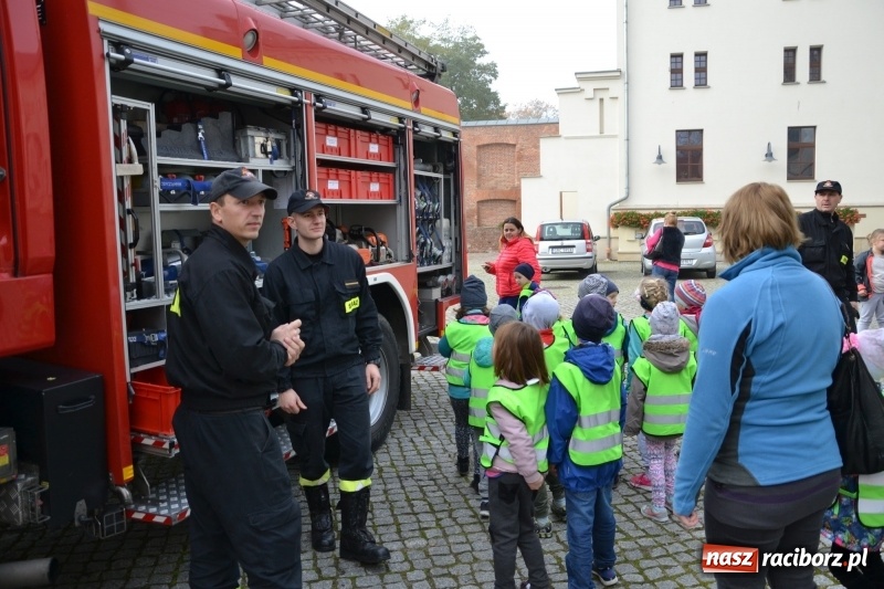Zdjęcie w galerii na portalu naszraciborz.pl: X Raciborskie Dni Nauki i Techniki za nami wiadomości z regionu