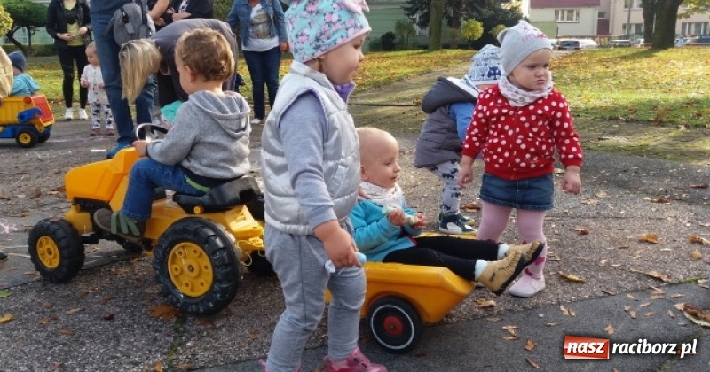 Zdjęcie w galerii na portalu naszraciborz.pl: Fiku-miku wystartowało po raz siódmy wiadomości z regionu