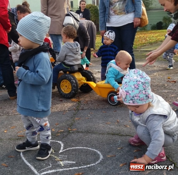 Zdjęcie w galerii na portalu naszraciborz.pl: Fiku-miku wystartowało po raz siódmy wiadomości z regionu