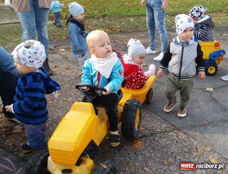 Zdjęcie w galerii na portalu naszraciborz.pl: Fiku-miku wystartowało po raz siódmy wiadomości z regionu