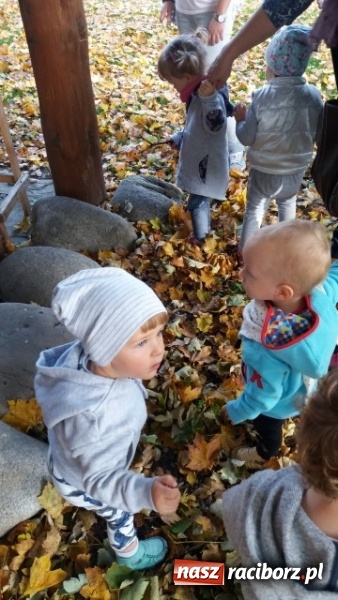 Zdjęcie w galerii na portalu naszraciborz.pl: Fiku-miku wystartowało po raz siódmy wiadomości z regionu