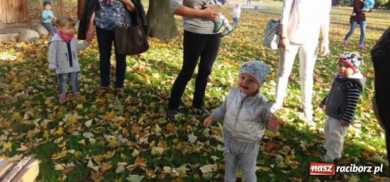 Zdjęcie w galerii na portalu naszraciborz.pl: Fiku-miku wystartowało po raz siódmy wiadomości z regionu