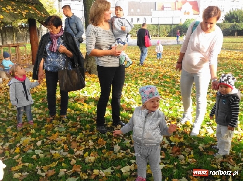 Zdjęcie w galerii na portalu naszraciborz.pl: Fiku-miku wystartowało po raz siódmy wiadomości z regionu
