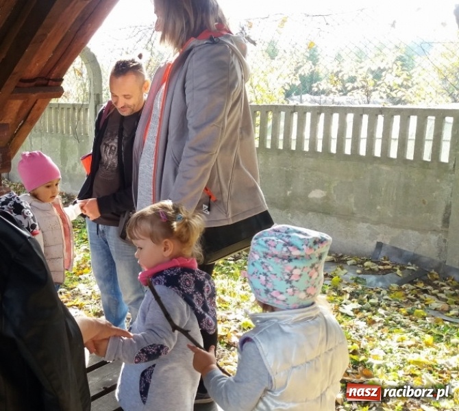 Zdjęcie w galerii na portalu naszraciborz.pl: Fiku-miku wystartowało po raz siódmy wiadomości z regionu