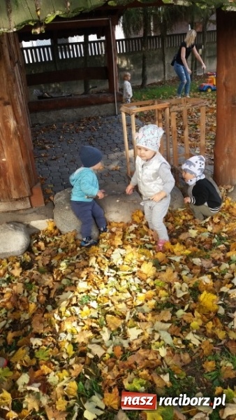 Zdjęcie w galerii na portalu naszraciborz.pl: Fiku-miku wystartowało po raz siódmy wiadomości z regionu