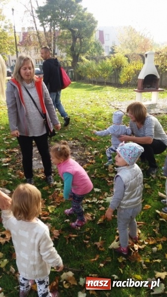 Zdjęcie w galerii na portalu naszraciborz.pl: Fiku-miku wystartowało po raz siódmy wiadomości z regionu